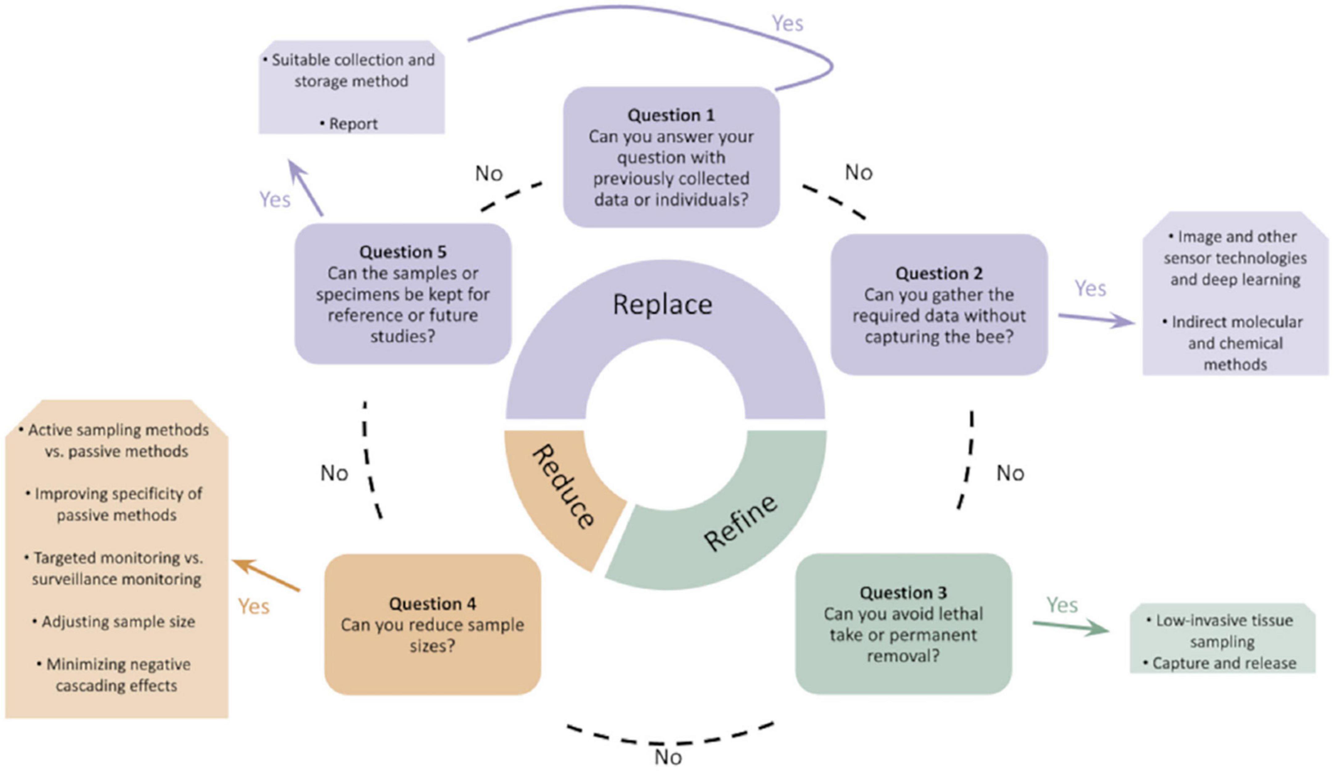 Informing policy and practice on insect pollinator declines: Tensions between conservation and animal welfare